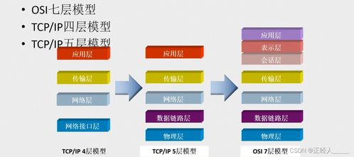 计算机网络基础 OSI模型与TCP/IP协议的关系探析