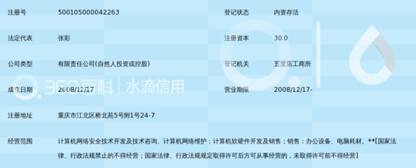 重庆雷沃网络科技 深耕计算机网络技术咨询，赋能企业数字化转型
